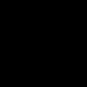 Meet your Posher, Sadie